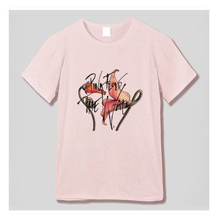摇滚平克弗洛伊德Pink Floyd Wall迷墙海报复古柔滑浅粉宽松T恤