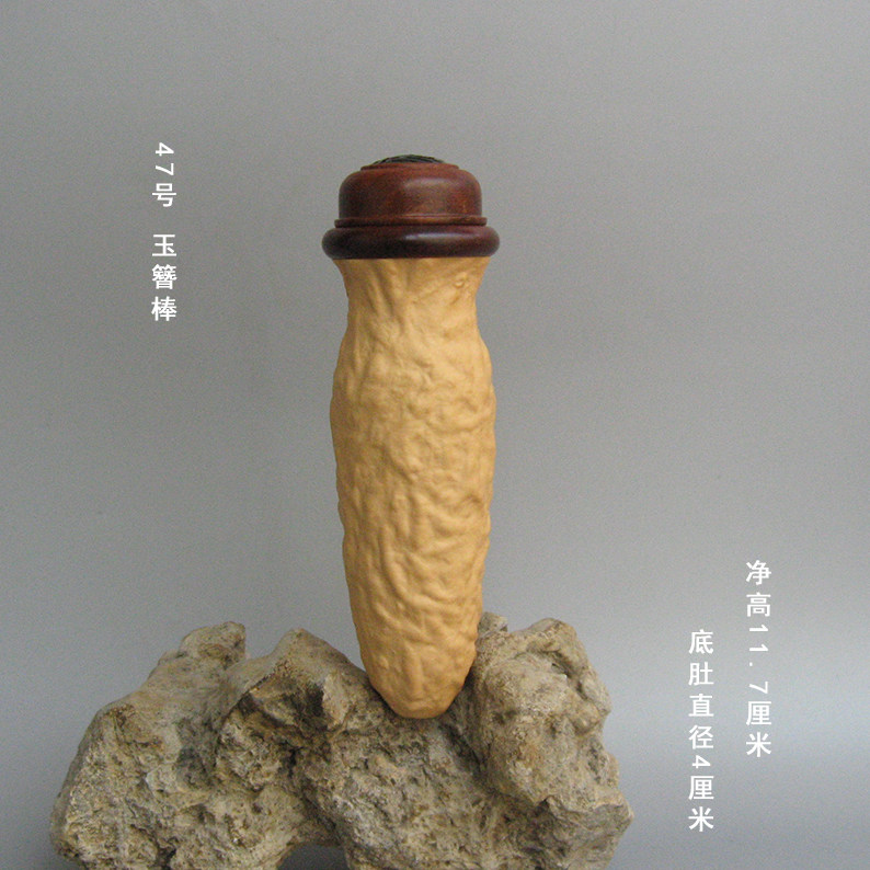 实物拍摄范制黑白虫葫芦竹蛉