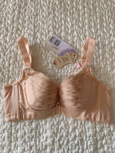 硬钢圈文胸奥维丝丽特价 清仓BC杯定型上托聚拢调整聚拢刺绣内衣