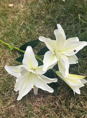 重瓣白色百合仿真花束