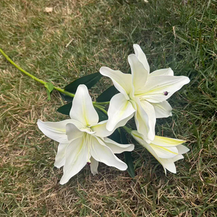 手感白色百合花仿真花束重瓣百合家居装饰摆件桌面花插婚庆花束
