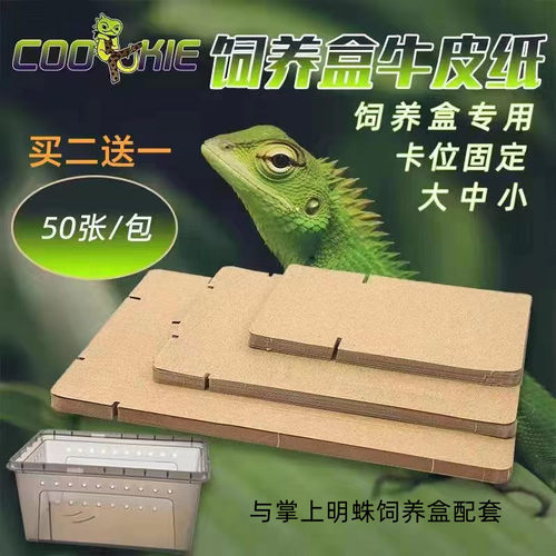 爬宠牛皮纸垫材饲养配套守宫蜥蜴