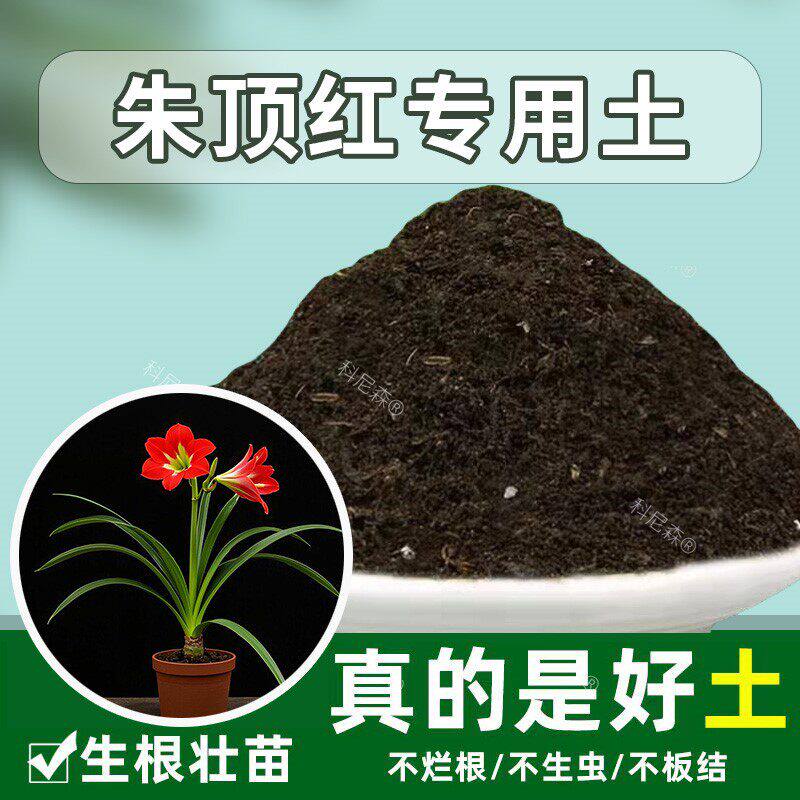 朱顶红专用土花卉土朱顶红专用营养土通用土阳台育苗土泥土种植土