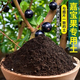 嘉宝果专用土有机肥有机土花园泥土盆栽专用土透气绿植包邮肥料