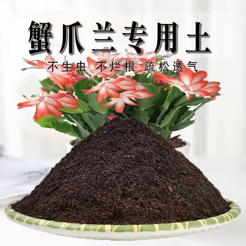 蟹爪兰专用土蟹爪兰专用营养土盆栽养花种植土壤肥料通用种花土培图片
