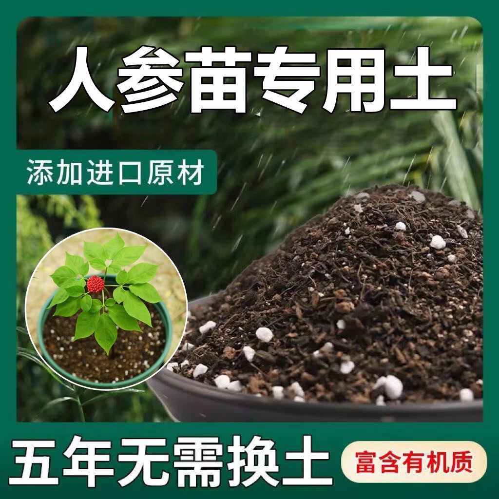人参苗专用土人参苗土种植土壤营养土盆栽种花泥土透气通用养花土