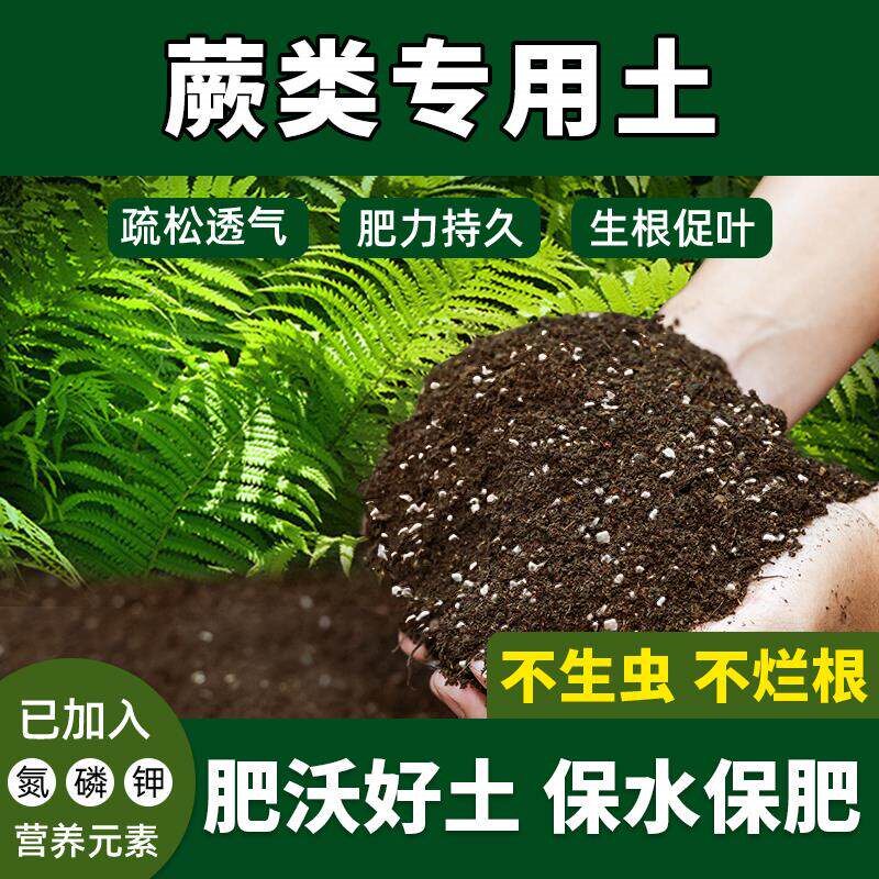 蕨类专用土激活根系防生虫花卉绿植通用型盆栽土蕨类营养土配方土