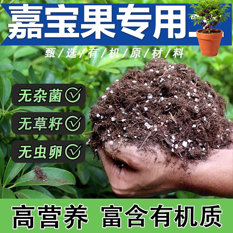 嘉宝果专用营养土植料促发芽菜园桌面种植土壮根室内泥炭土颗粒土