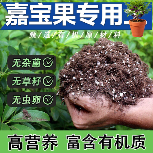 嘉宝果专用营养土植料促发芽菜园桌面种植土壮根室内泥炭土颗粒土