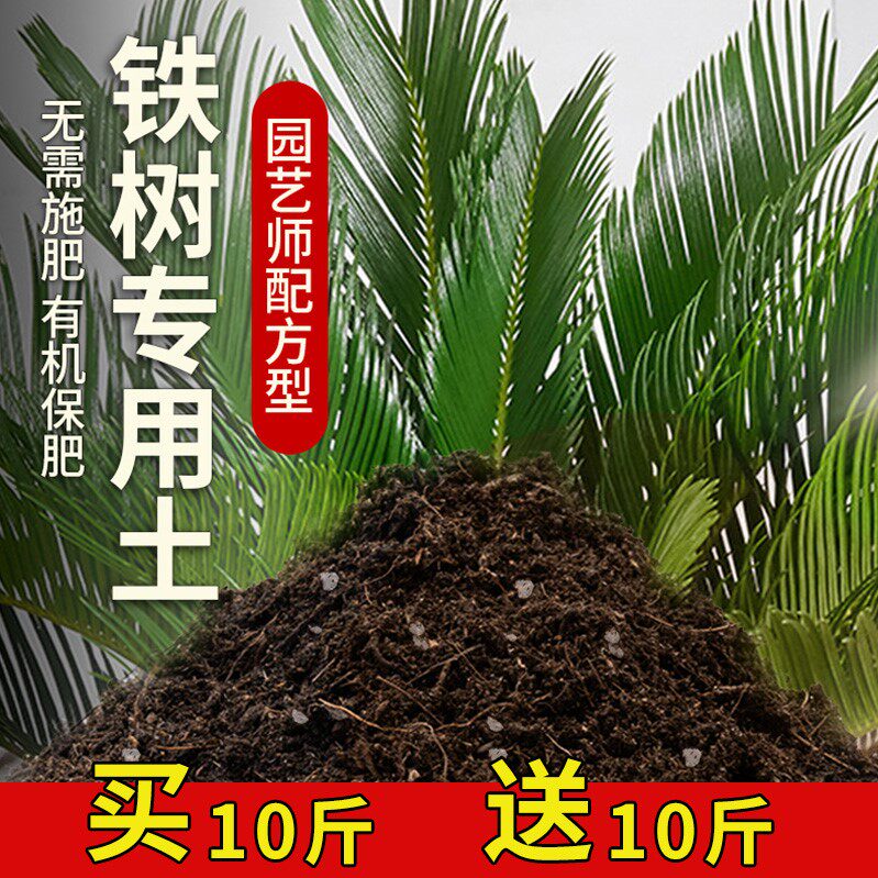 铁树专用土盆栽土养花泥土阳台种植土透气泥土铁树营养土肥料土壤