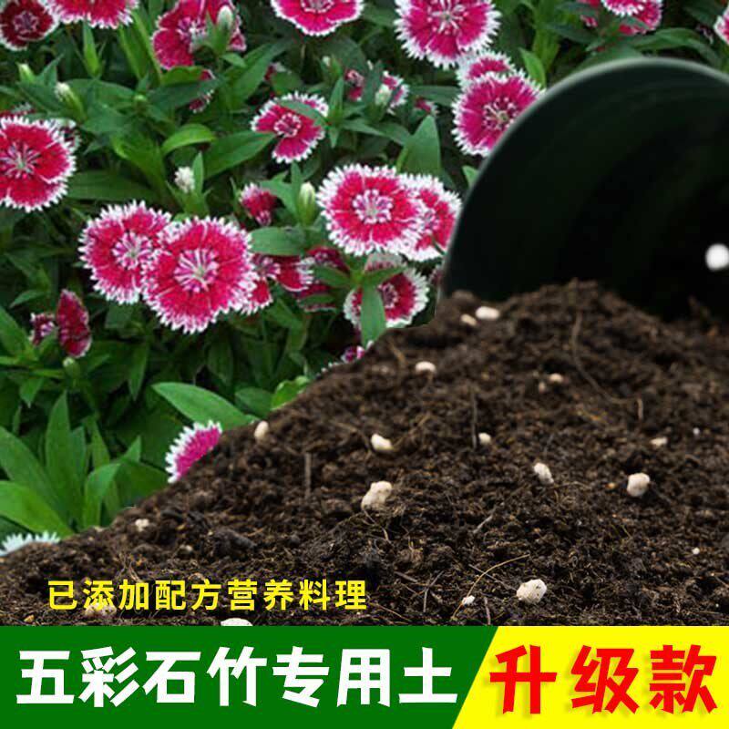 五彩石竹专用土五彩石竹营养土有机土肥料家用种植土盆栽种花泥土