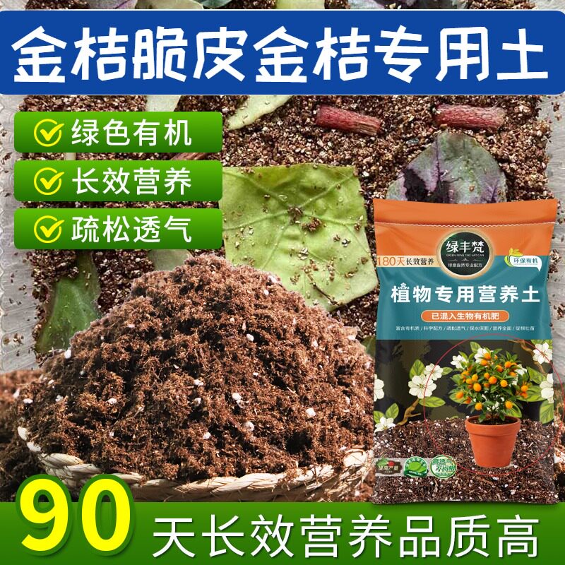 金桔脆皮金桔专用轻质基质土种植土无杂草籽增色实惠装多肉