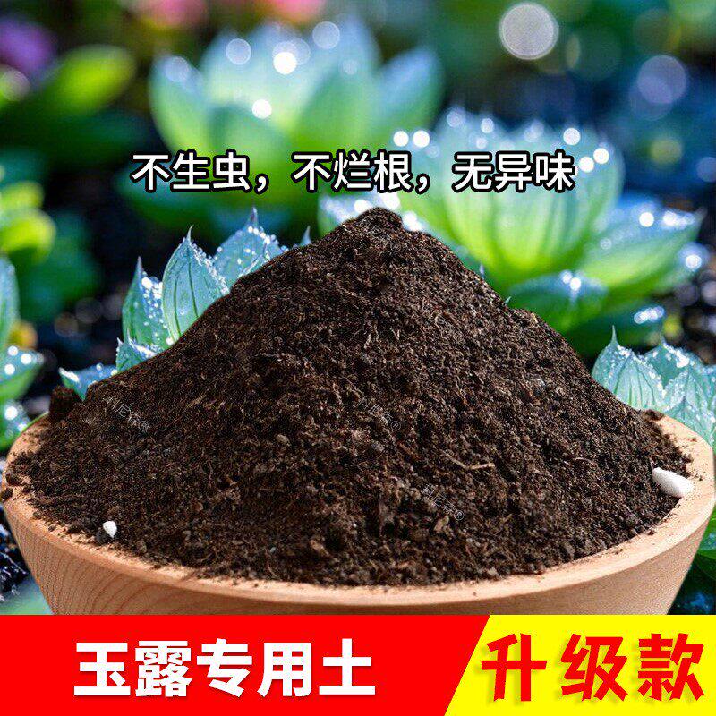 玉露专用土盆栽土玉露专用营养土泥土花卉土养花土椰砖土肥料土