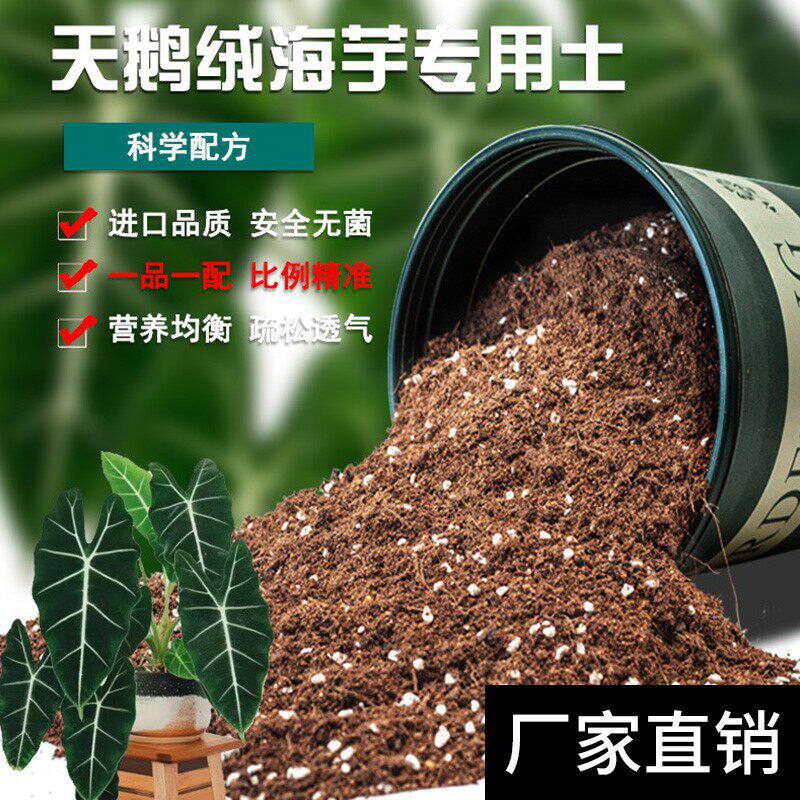 绿天鹅绒海芋专用土花卉绿植盆栽种植土疏松透气通用型有机营养土