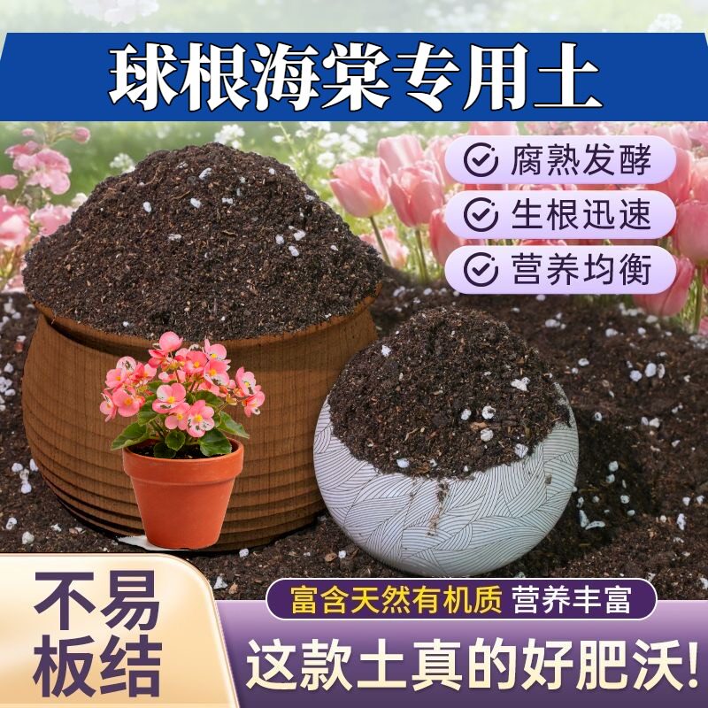 球根海棠专用泥炭土保水锁肥家庭园艺泥炭基质优质促生长观花盆景