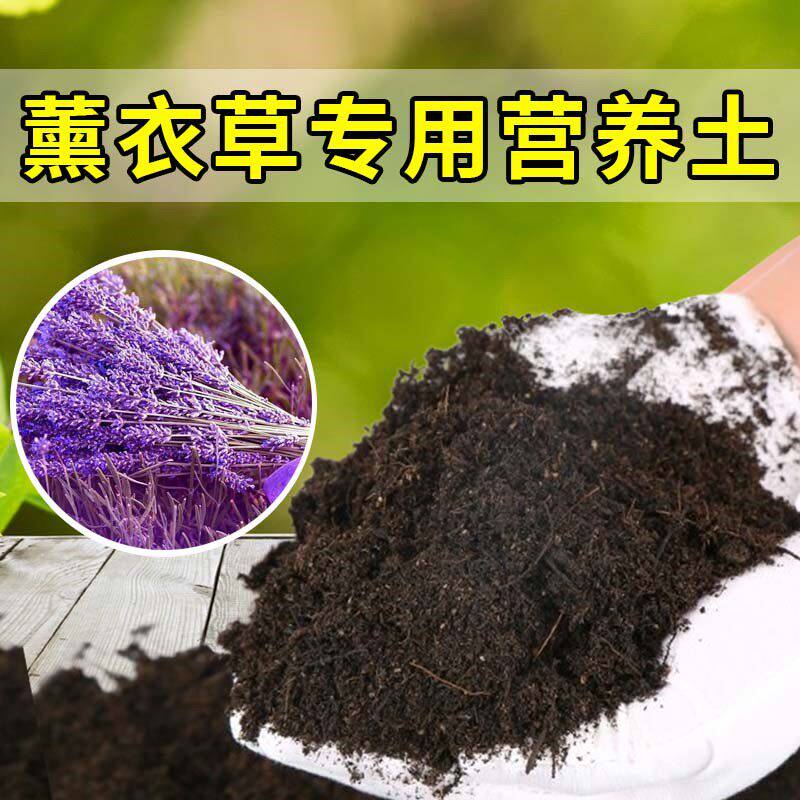 薰衣草专用土家用养花有机土壤种植土肥料种花盆栽土薰衣草营养土