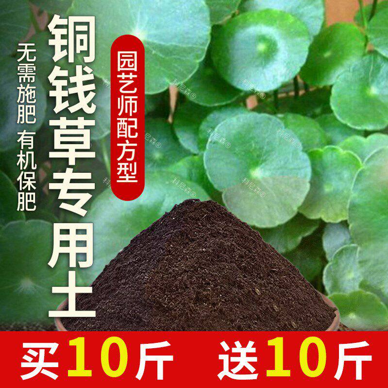 铜钱草专用土肥料家庭盆栽土壤铜钱草营养土室内花草育苗有机花土