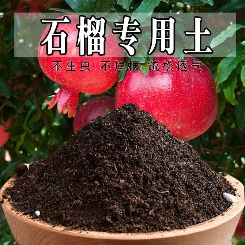 石榴树专用土家用栽培土包邮肥料黑土石榴树专用营养土疏松透气土
