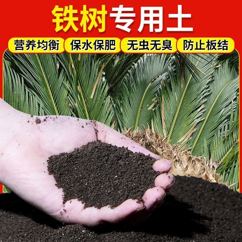 铁树营养土铁树专用土种植土壤室内种花土有机土疏松透气有机肥料