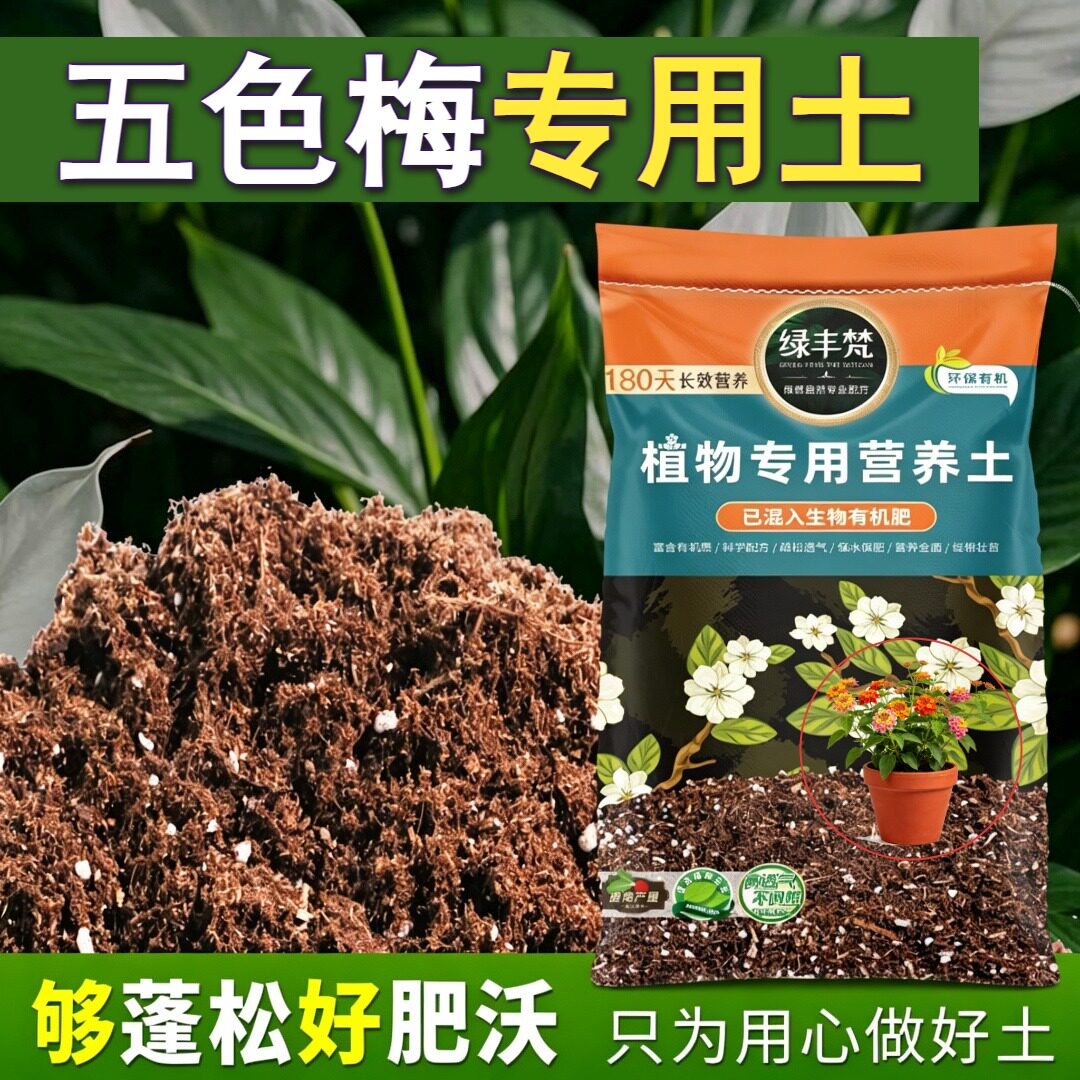 五色梅适用花泥不易板结多肉盆栽土配比科学绿叶家用装喜酸月季