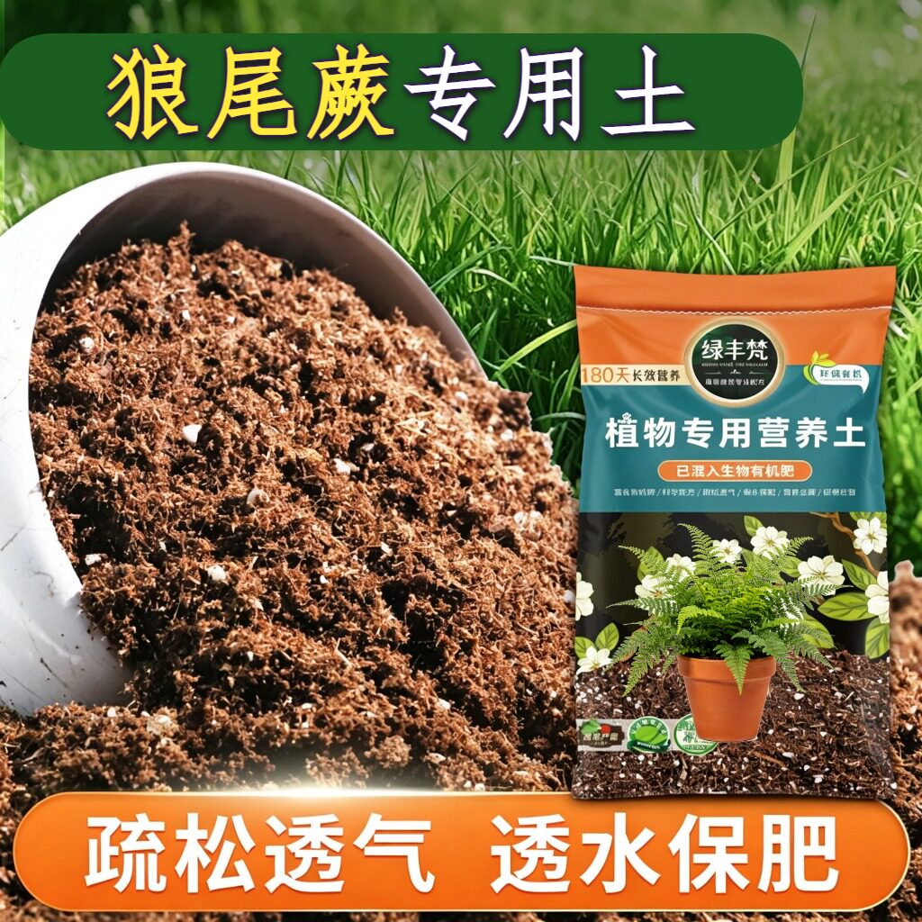 狼尾蕨专用种植土不易板结园艺盆栽土原料甄选调节土质试用装木本