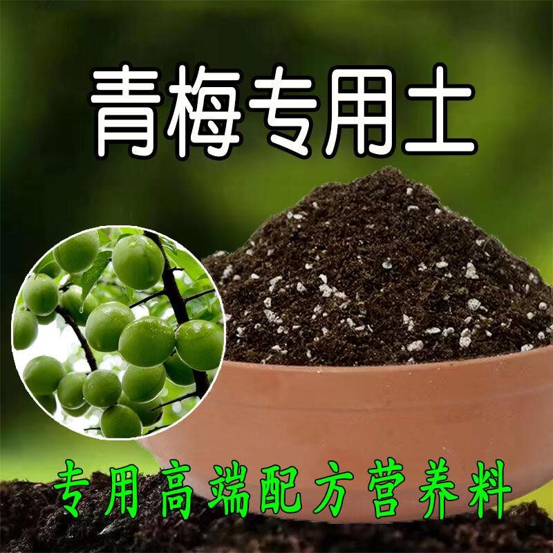 果树天然腐殖含泥炭不烂根腐殖泥炭土园艺加牛粪腐叶土养花土育苗