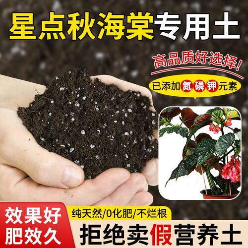 星点秋海棠专用营养土疏松透气含泥炭肥料通用有机种植土轻质土
