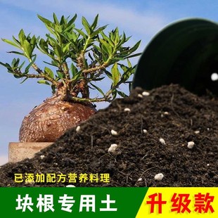 块根专用土有机土肥料家用种植土块根营养土盆栽养花专用土包邮