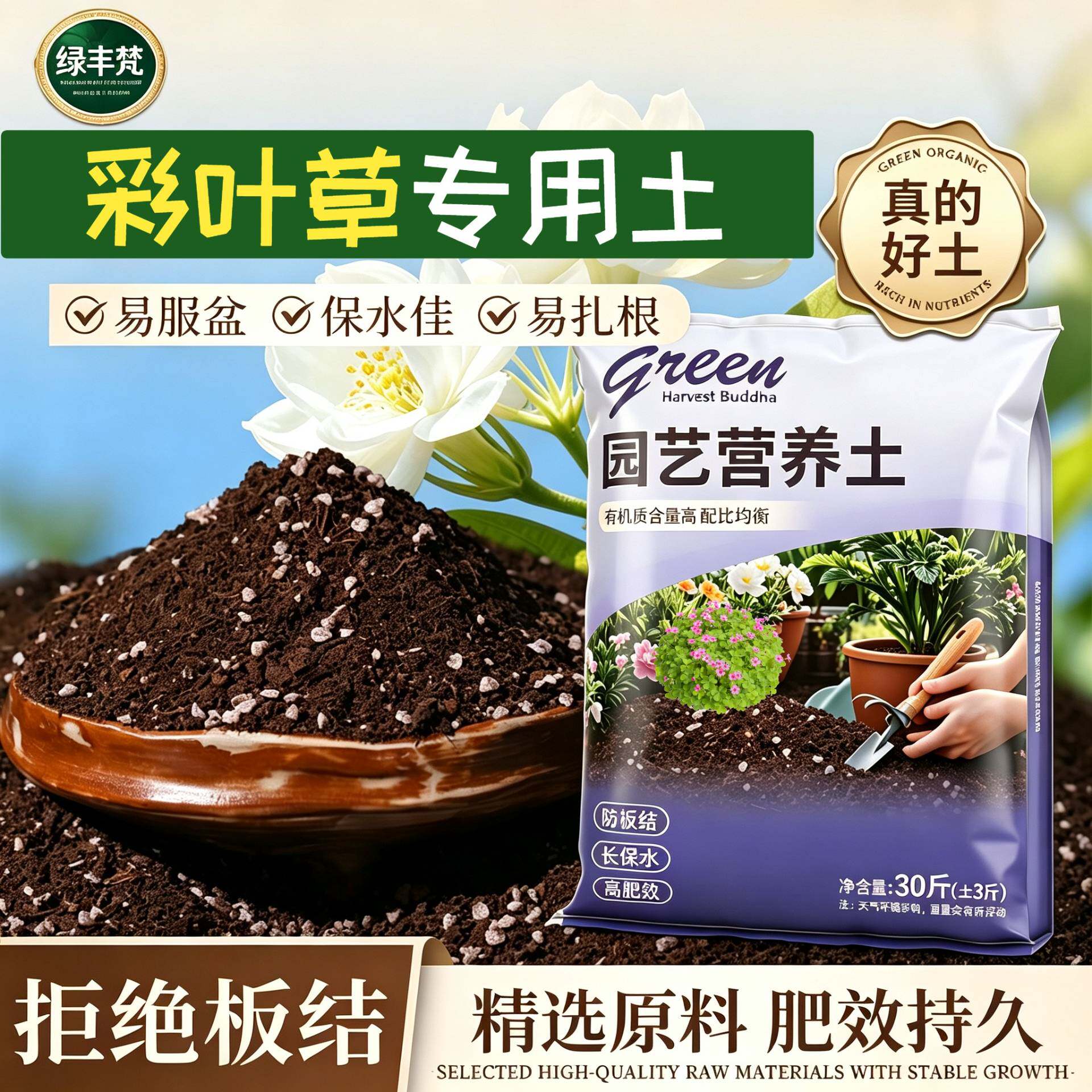 彩叶草专用泥炭土疏松透气育苗加深生根粉天然防黄叶观叶喜酸阳台