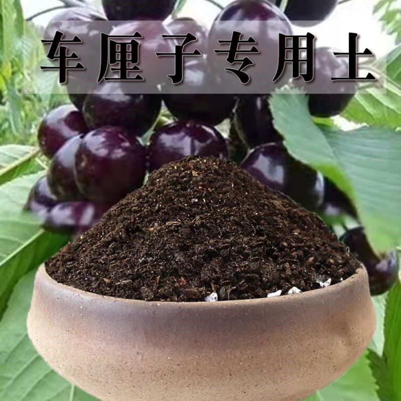 车厘子专用土农业果树盆栽土果园有机肥料增甜种植土车厘子营养土