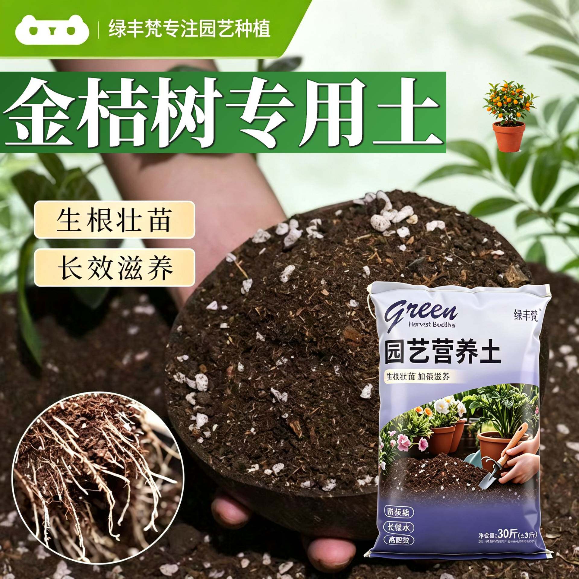 金桔树专用栽培土加珍珠岩盆栽大包进口绿叶木本家庭园艺天然优质