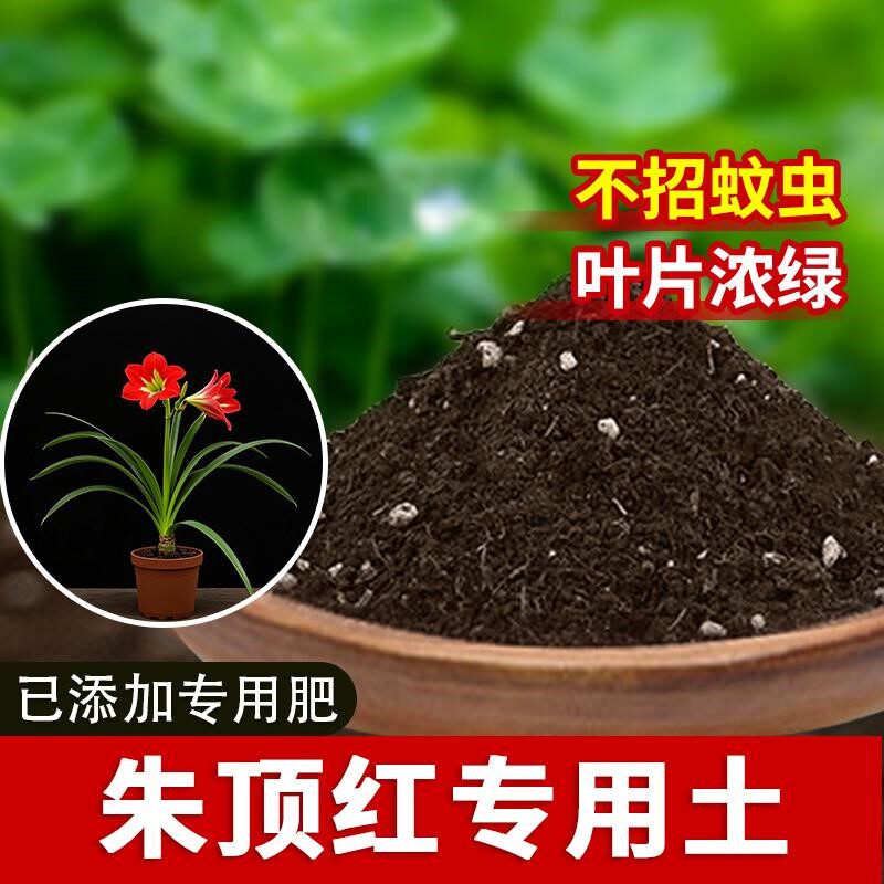 朱顶红专用土种植疏松有机种植土盆栽专用土花土花盆营养土阳台