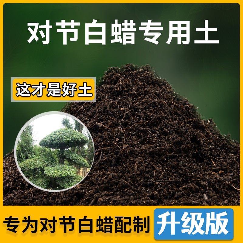 对节白蜡专用营养土保水保肥菜园室内盆栽土有机观叶不烧根不烧苗