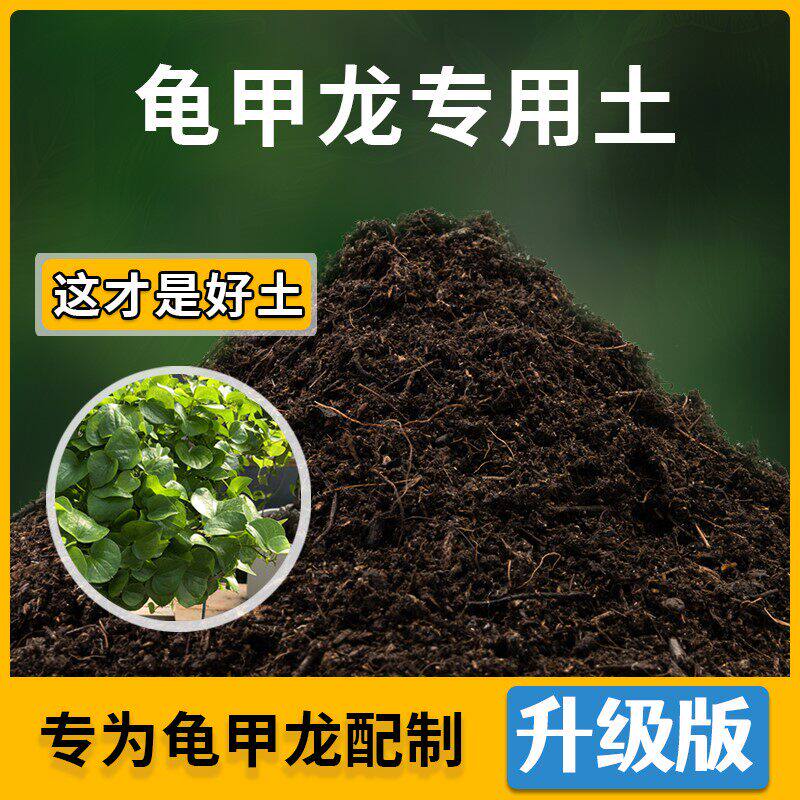 龟甲龙专用土花草种植通用龟甲龙营养土盆栽种花养花肥料有机土