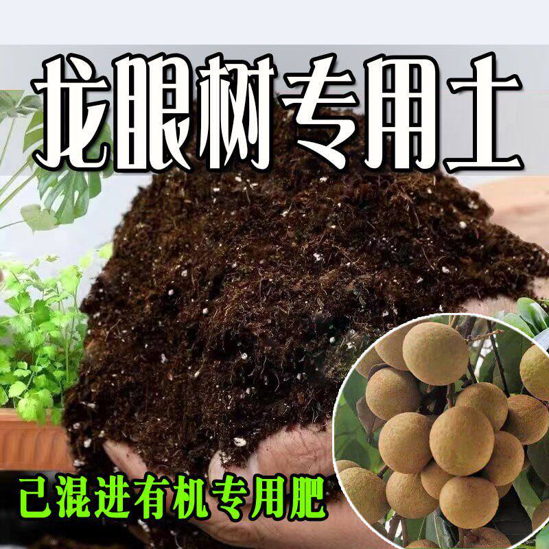 龙眼树专用土 龙眼树专用营养土 盆栽养花种花土通用种植土壤肥料