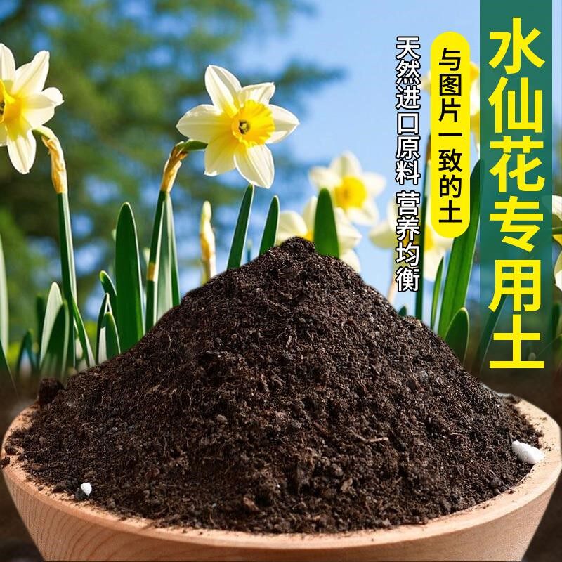 水仙花专用土绿植种花土水仙花专用营养土椰砖种植通用型植物园艺