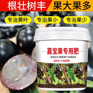 嘉宝果专用肥促花保果家用颗粒缓释控释肥增产增收氮磷钾花肥料