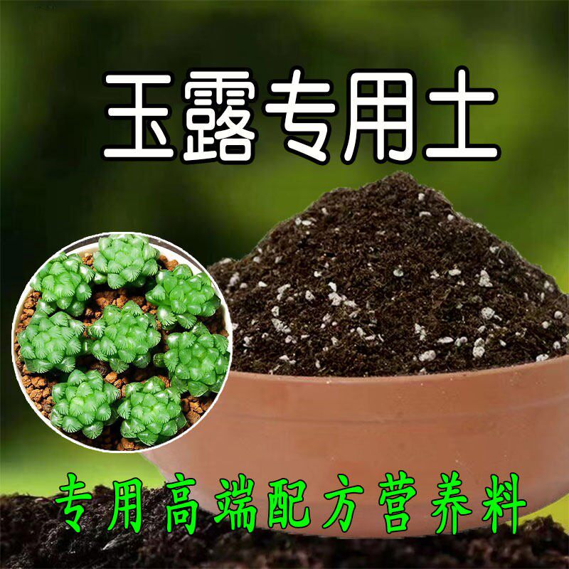 玉露专用土多肉花土种花土营养土多肉有机肥料种植土养花土腐殖土