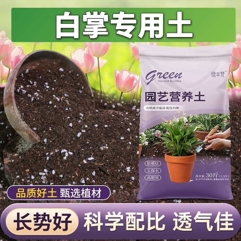 白掌适用泥炭土腐殖泥炭土室内大包无菌促生长球根壮根育苗不烂根
