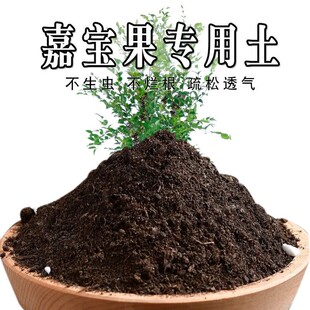 嘉宝果专用土嘉宝果专用营养土盆栽土养花种花土通用种植土壤肥料
