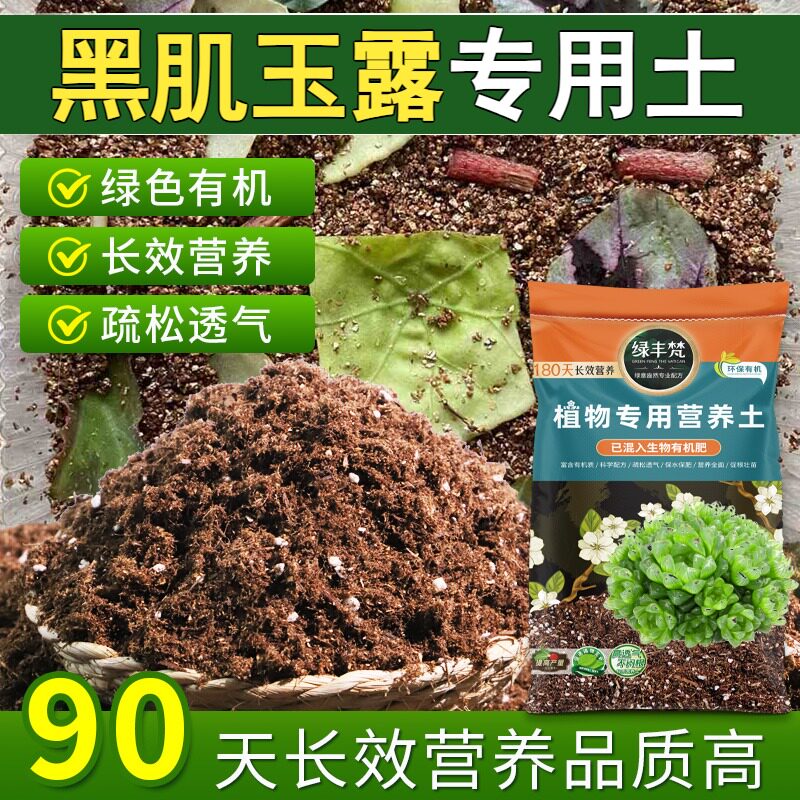 黑肌玉露专用园艺土富含有机质营养土安全可靠涵养养分试用装喜酸