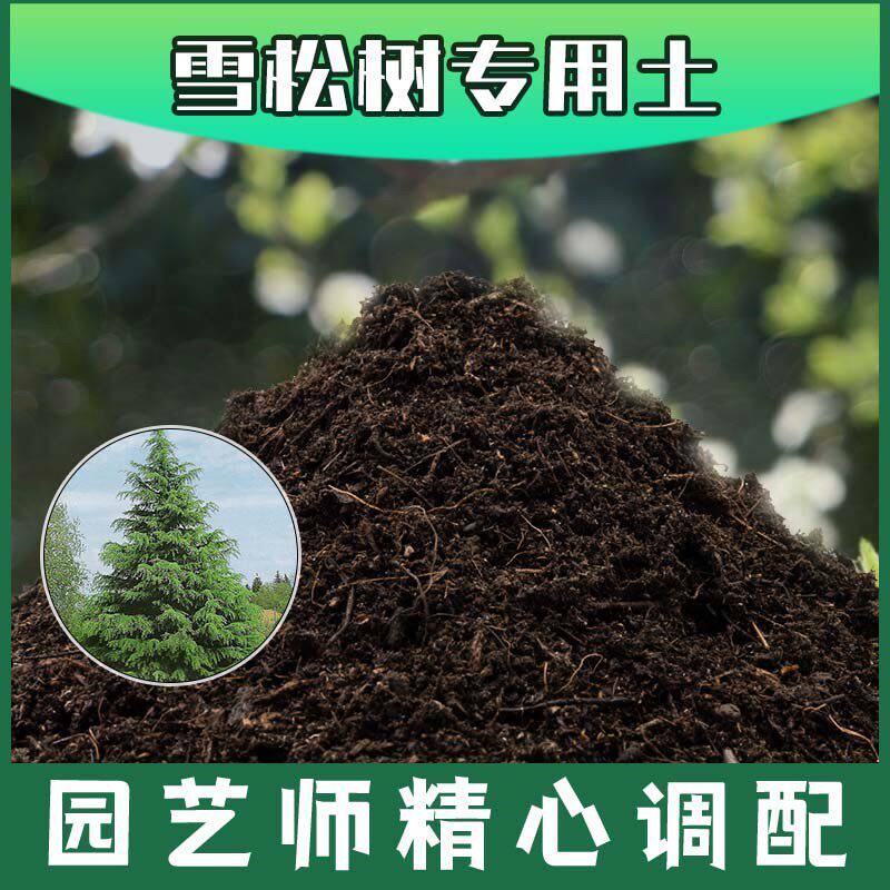 雪松树专用土腐殖土种花养花盆栽土雪松树营养土肥料种植有机土壤