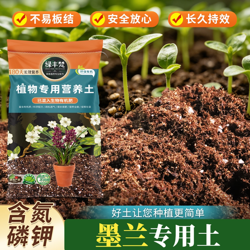 墨兰适用混合种植土移栽适用料质纯正适配老桩上盆家用装分枝匀称