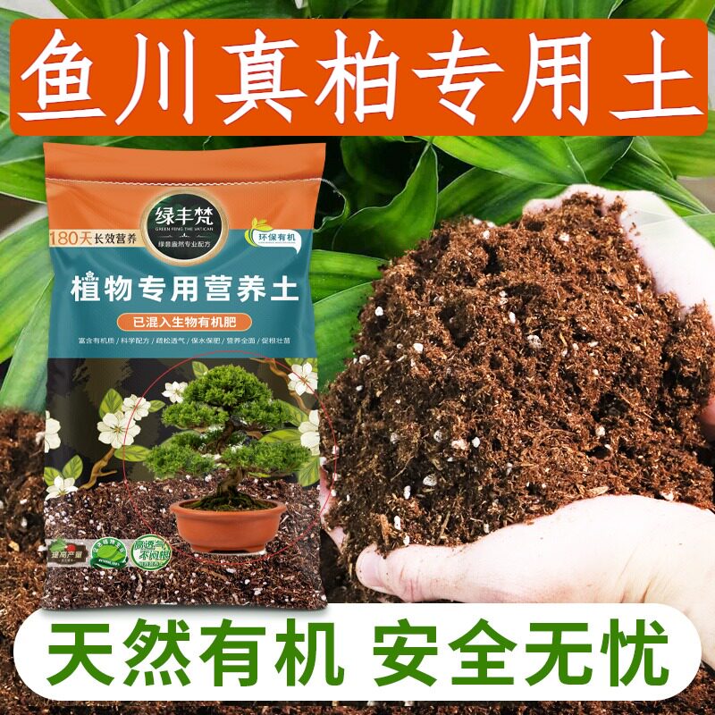 鱼川真柏适用腐殖土天然原料营养土有机质丰富留存肥力家用装木本