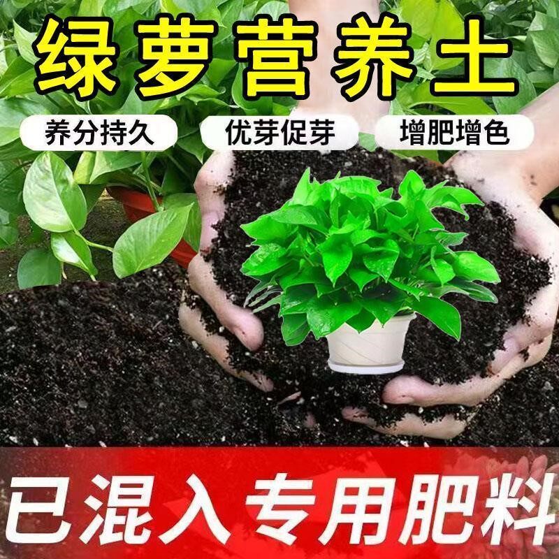 绿萝专用营养土阳台种花养花土室内花卉土绿萝盆栽土绿植有机土壤