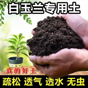 白玉兰专用土 盆栽营养土弱酸性沙质家用种植花土壤花卉土肥料