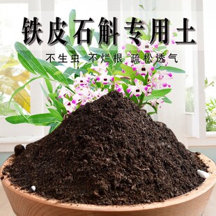 铁皮石斛专用土花盆家用阳台种花园艺绿植铁皮石斛专用有机营养土