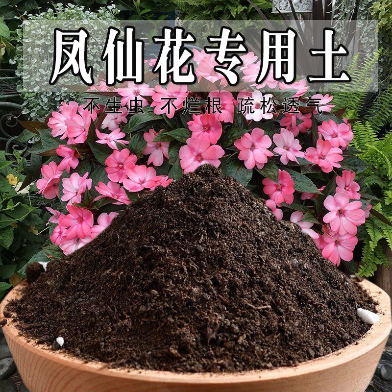 凤仙花专用土凤仙花专用营养土盆栽土养花种花土通用种植土壤肥料