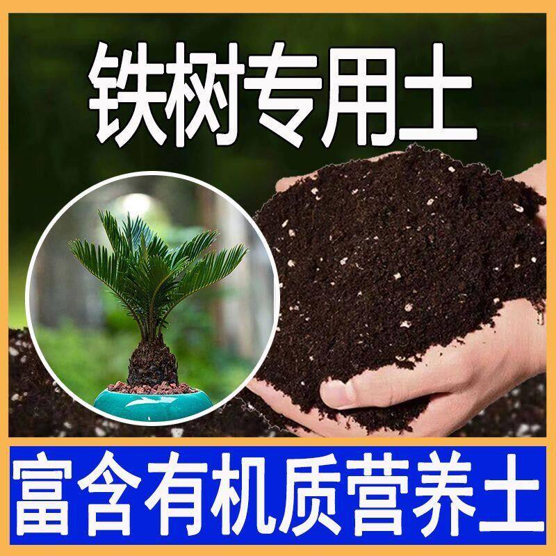 种植铁树专用土营养土专用通用疏松透气栽培土壤泥土养花专用肥料