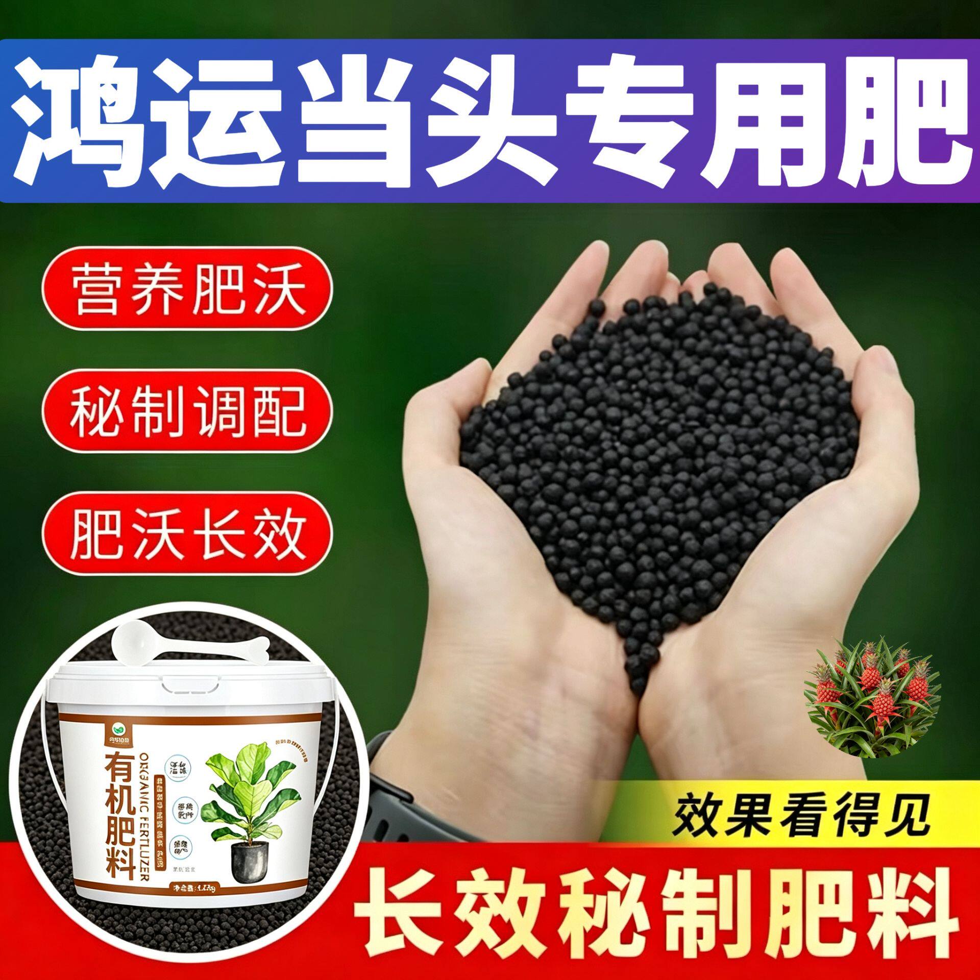 鸿运当头适用肥缓释颗粒肥养花肥促结果阳台室内追肥枝繁叶茂盆栽